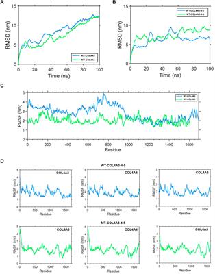 The NM_033380.2 transcript of the COL4A5 gene contains a variable splice site c.4822–10T>C, which has been identified as a causative factor for Alport syndrome